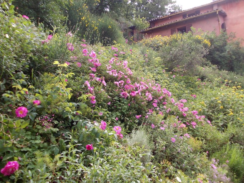 giugno 2013 - fotodiario8