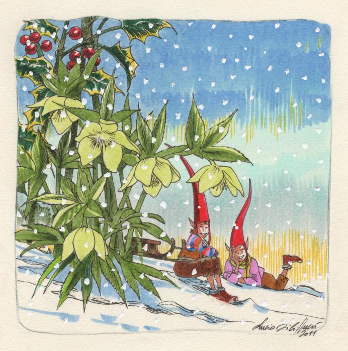 luciofilippucci_casoncello_09dic2011