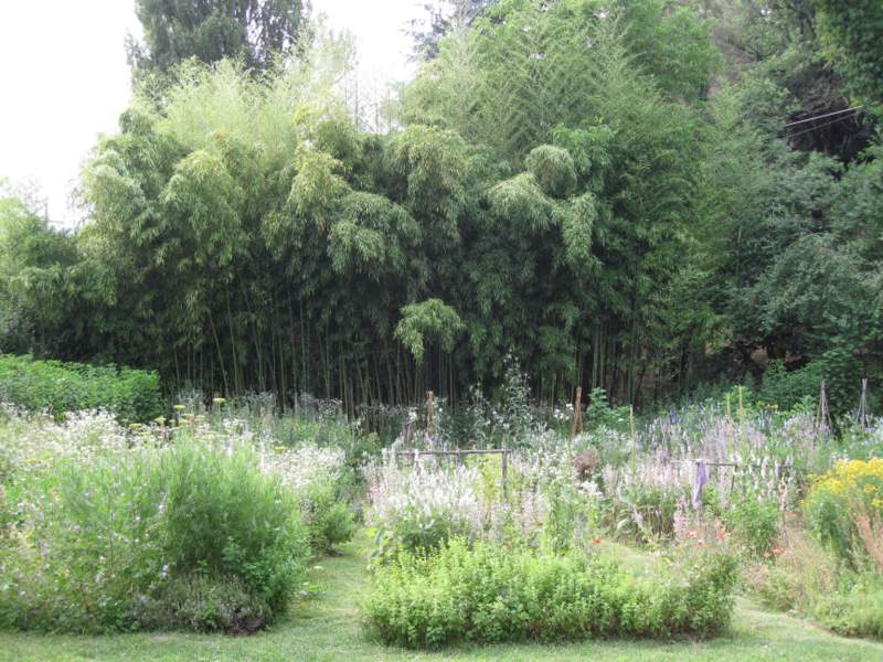 luglio 2010 - fotodiario1