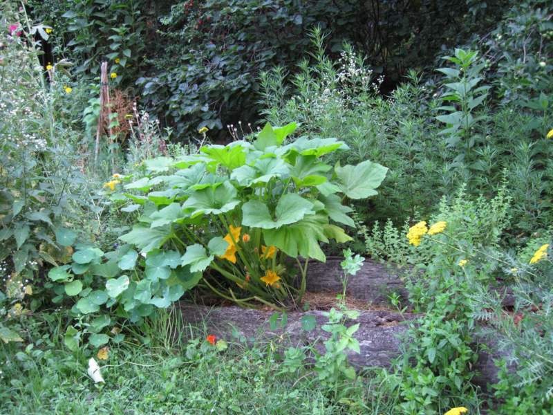 luglio 2010 - fotodiario2