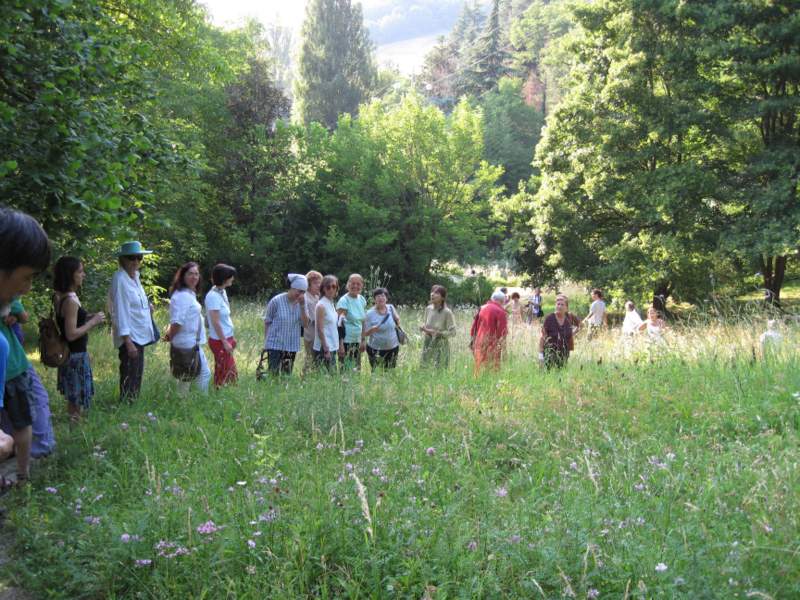 luglio 2010 - fotodiario3