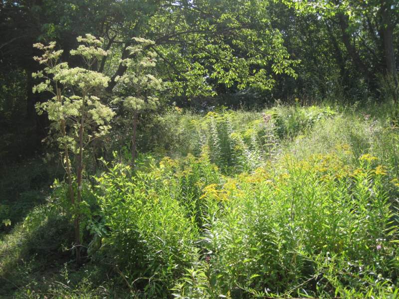 luglio 2010 - fotodiario4