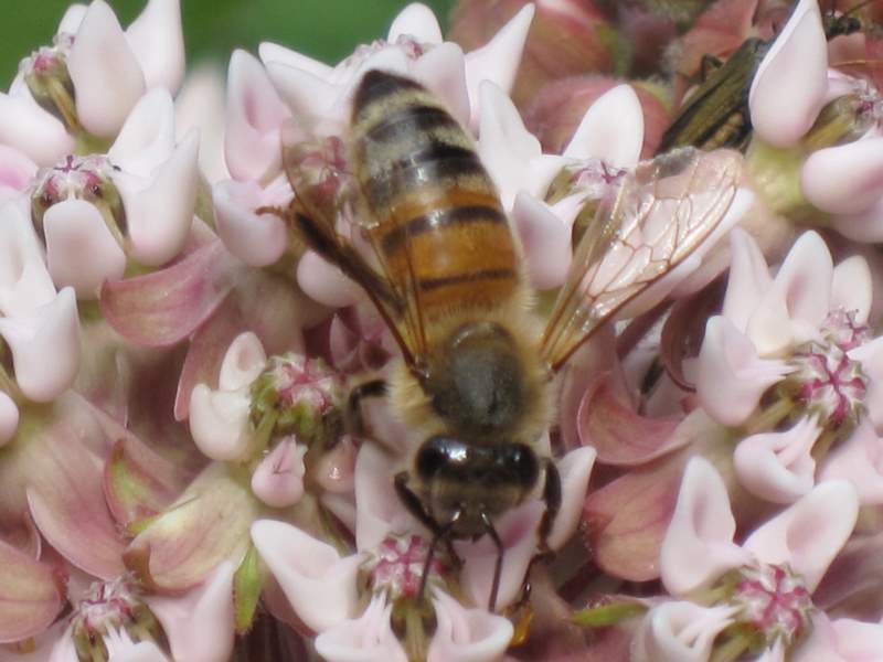 luglio 2010 - fotodiario6