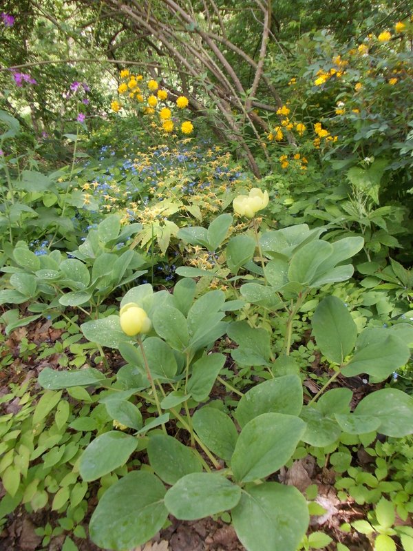 maggio 2013 - fotodiario1