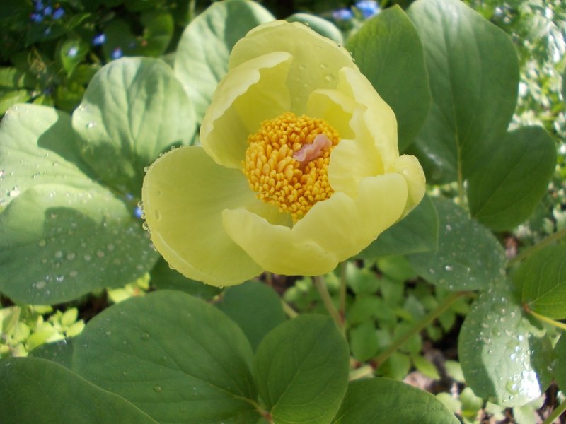 maggio 2013 - fotodiario2