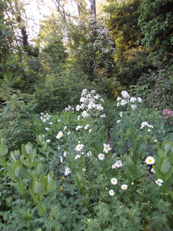 maggio 2013 - fotodiario3