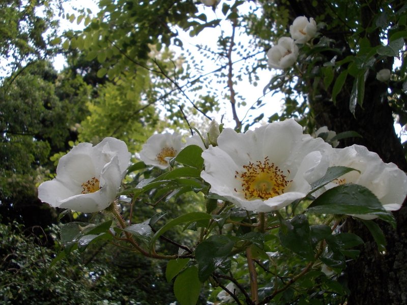 maggio 2013 - fotodiario4