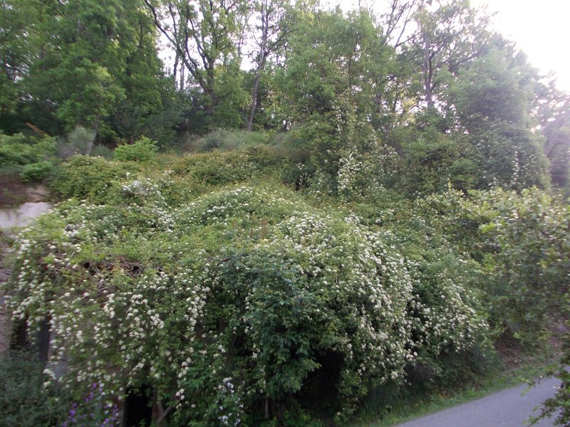 maggio 2013 - fotodiario6