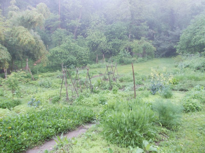 maggio 2013 - fotodiario7