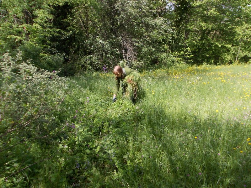 maggio 2013 - fotodiario8