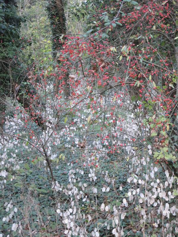 novembre 2010 - fotodiario2