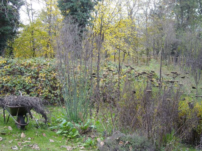 novembre 2010 - fotodiario4