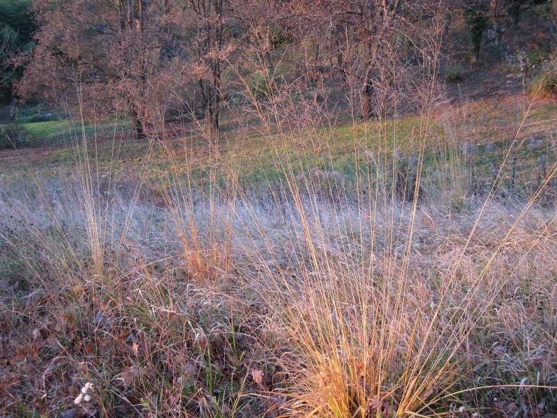 novembre 2010 - fotodiario5