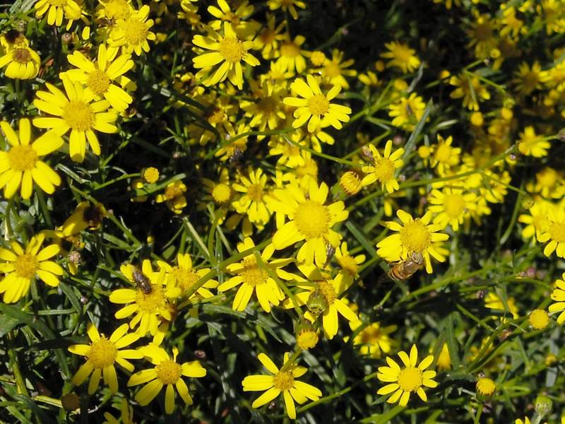 novembre 2010 - fotodiario6