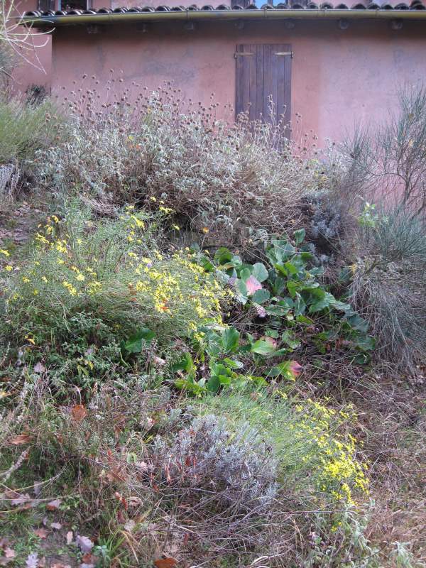 novembre 2010 - fotodiario7