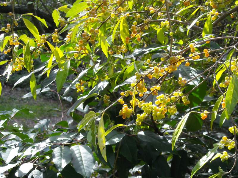 ottobre 2010 - fotodiario3