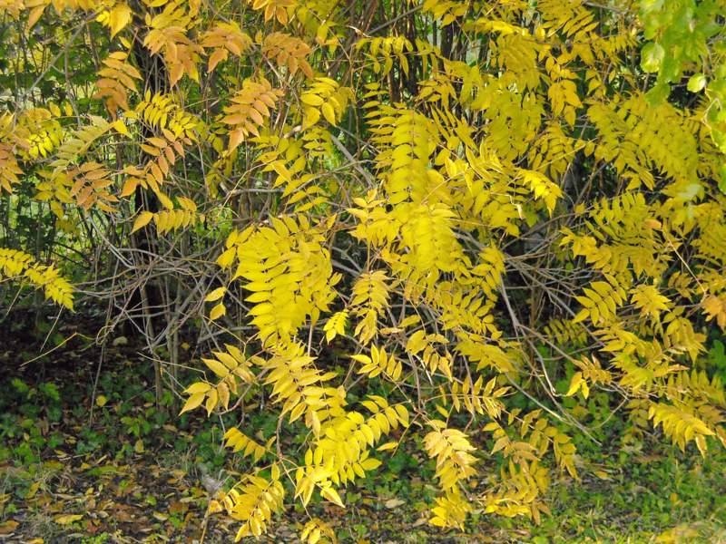 ottobre 2010 - fotodiario7