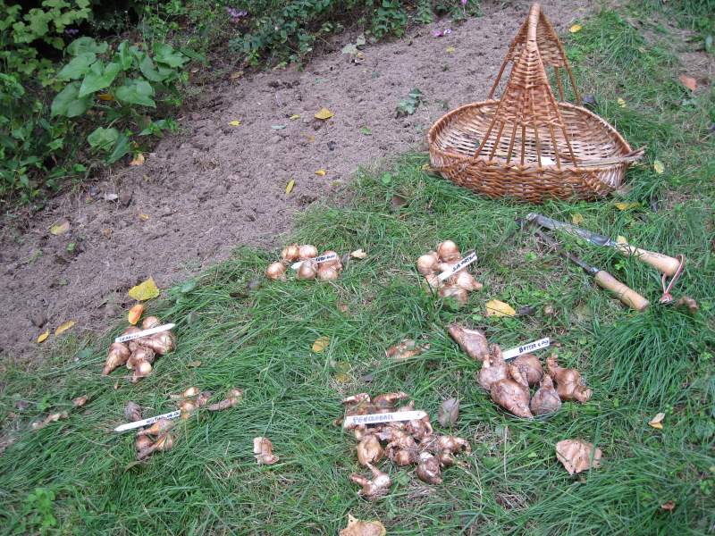 ottobre 2010 - fotodiario8