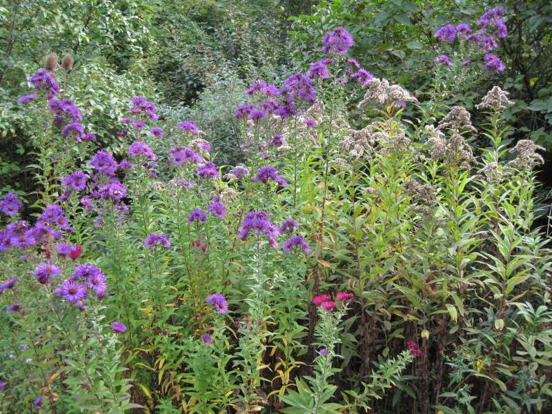 settembre 2010 - fotodiario1