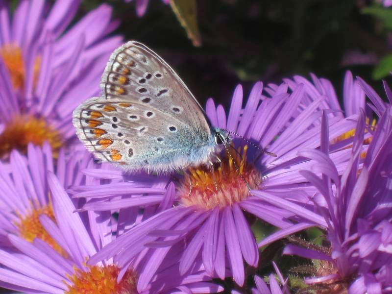 settembre 2010 - fotodiario2