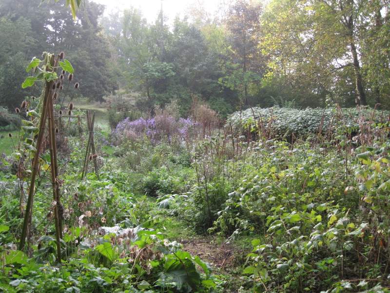 settembre 2010 - fotodiario3