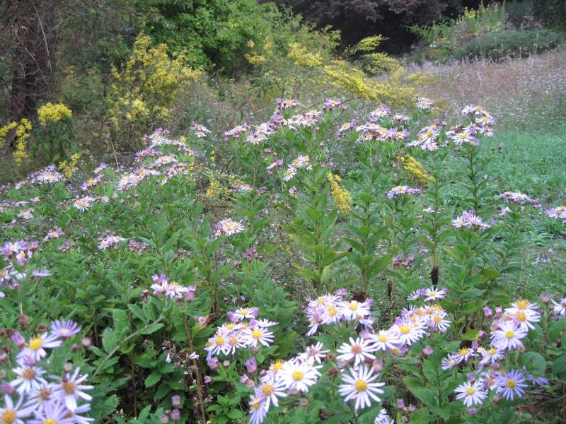 settembre 2010 - fotodiario5
