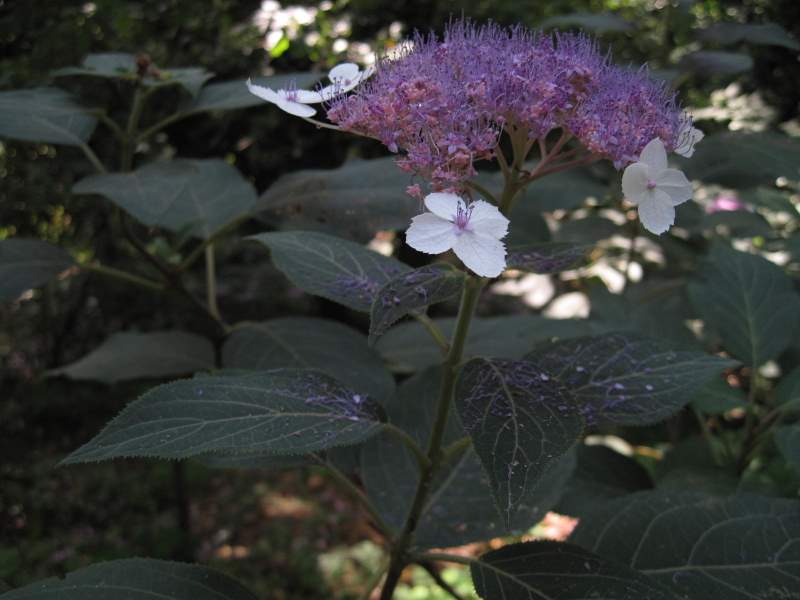 settembre 2010 - fotodiario7