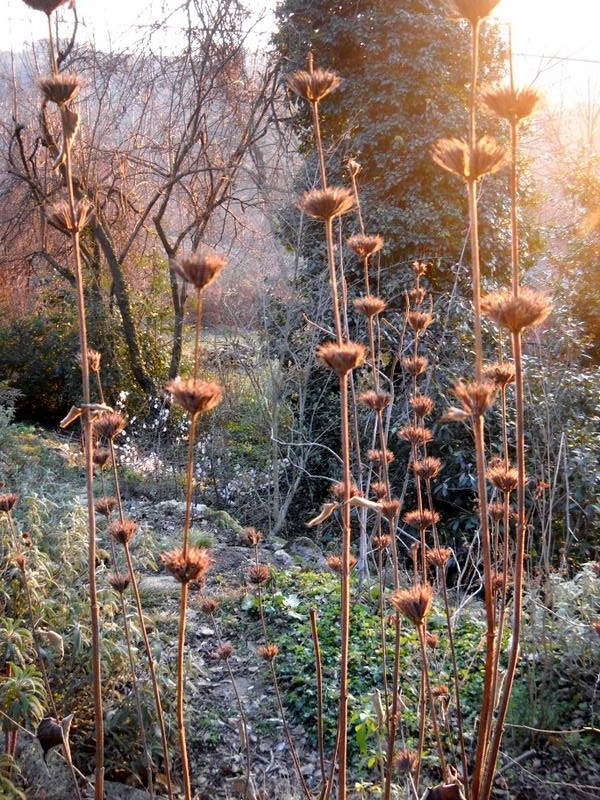 gennaio 2016 6 bassa